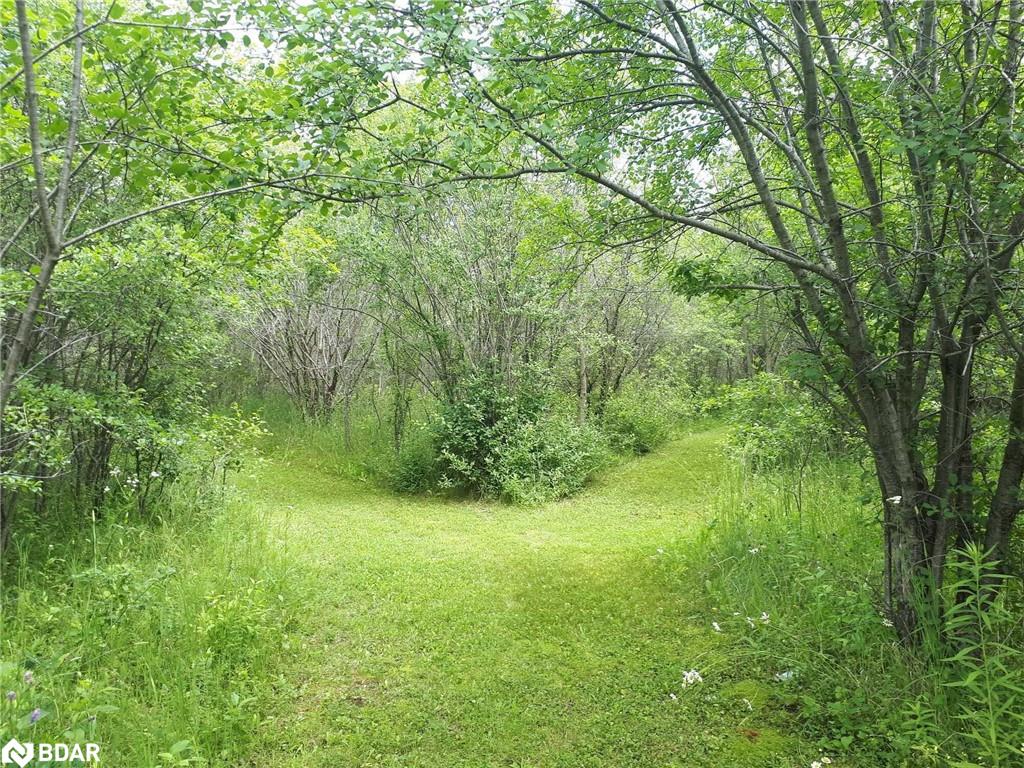 209 Hiscock Shores Road Property Photo 8