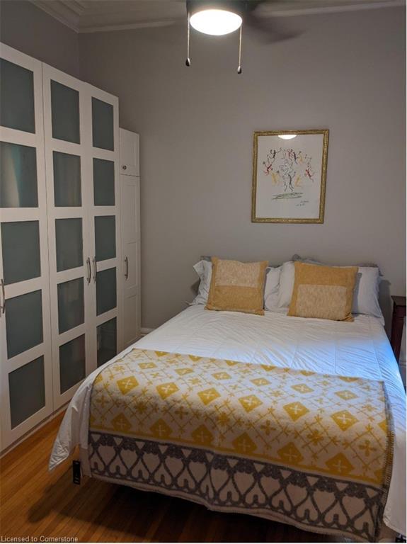 7 Homewood Avenue Property Photo 28