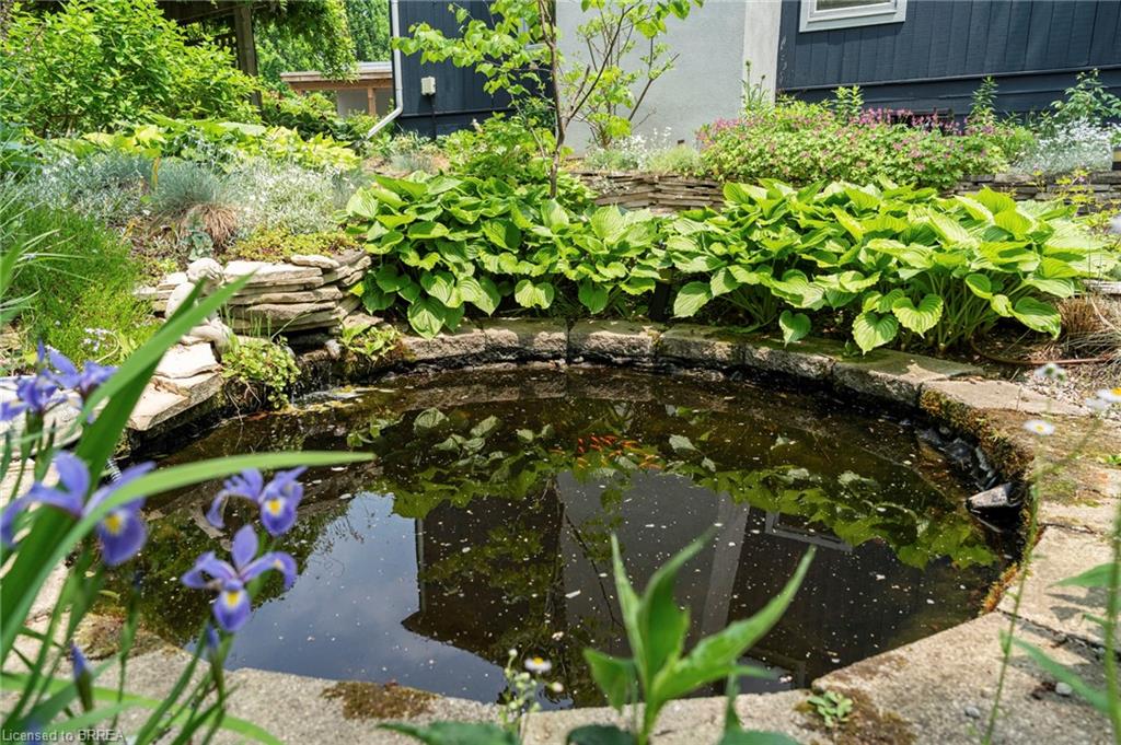 364 Robinson Road Property Photo 45