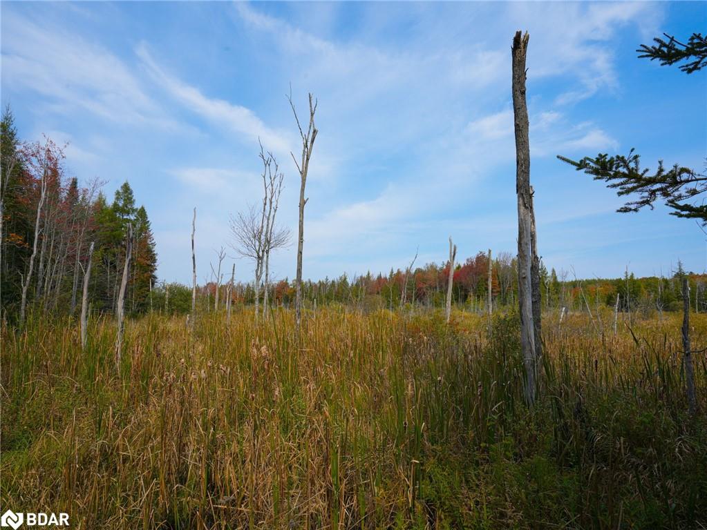 793510 County Rd 124 Property Photo 8