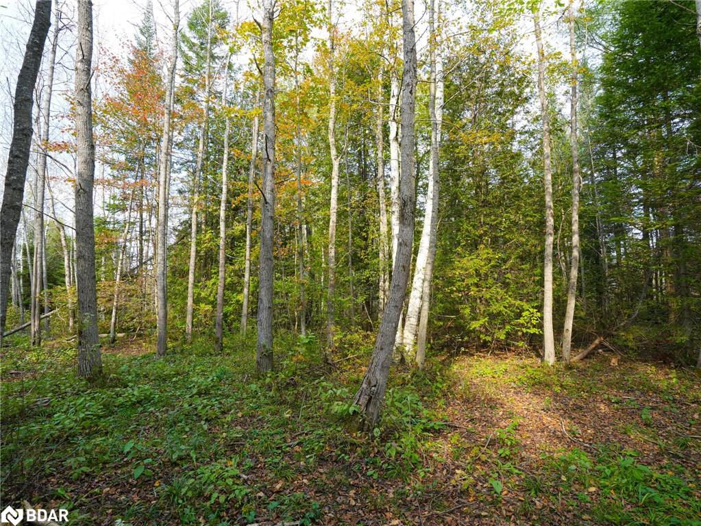 793510 County Rd 124 Property Photo 10
