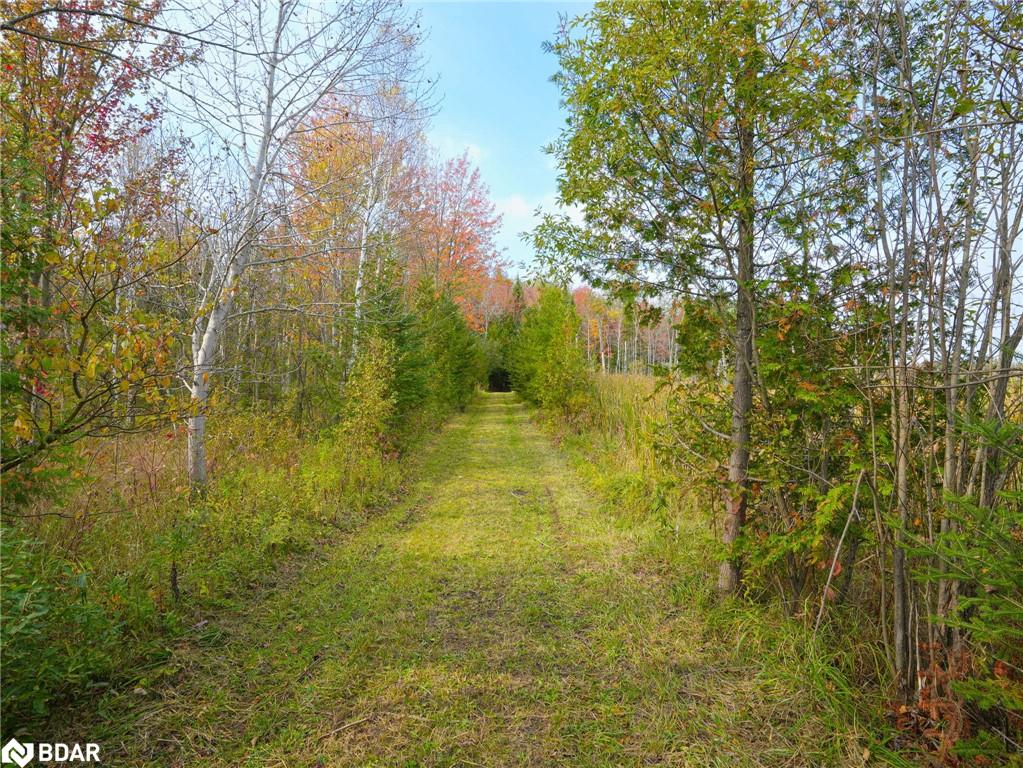 793510 County Rd 124 Property Photo 11