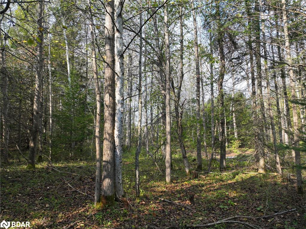 793510 County Rd 124 Property Photo 14
