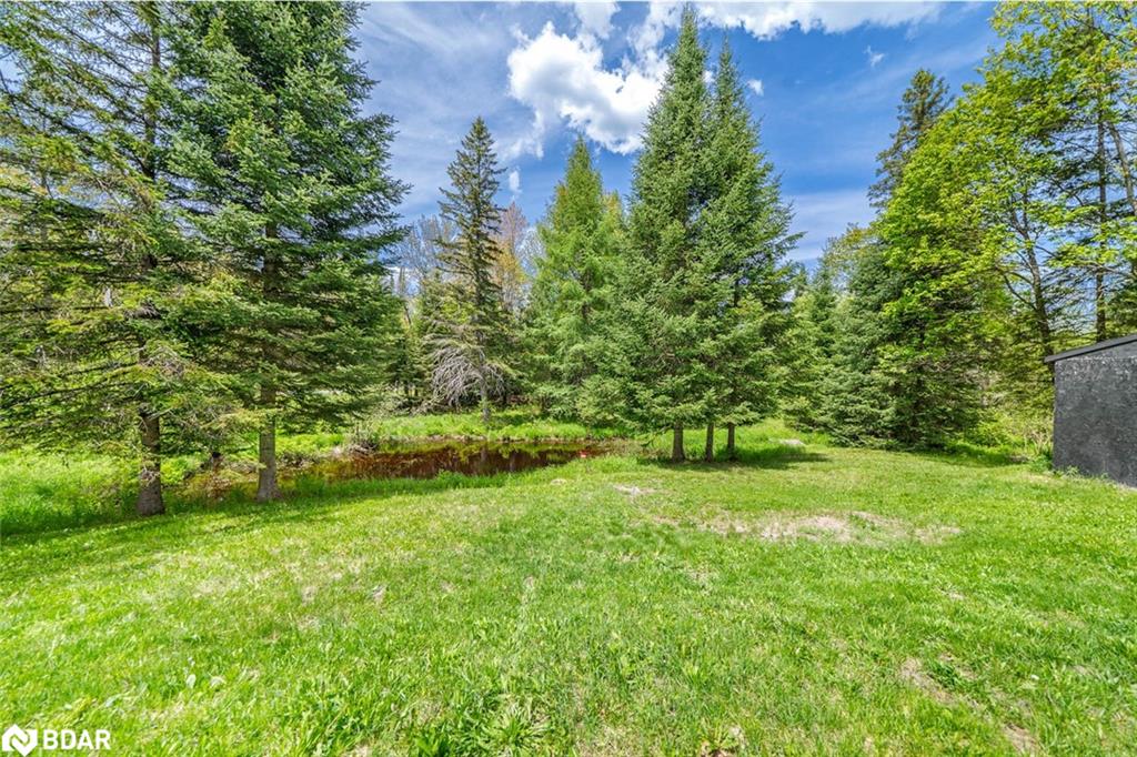 365 Clearwater Lake Road Property Photo 32