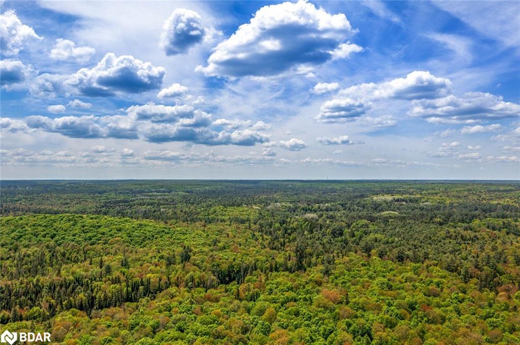 365 Clearwater Lake Road Property Photo 34