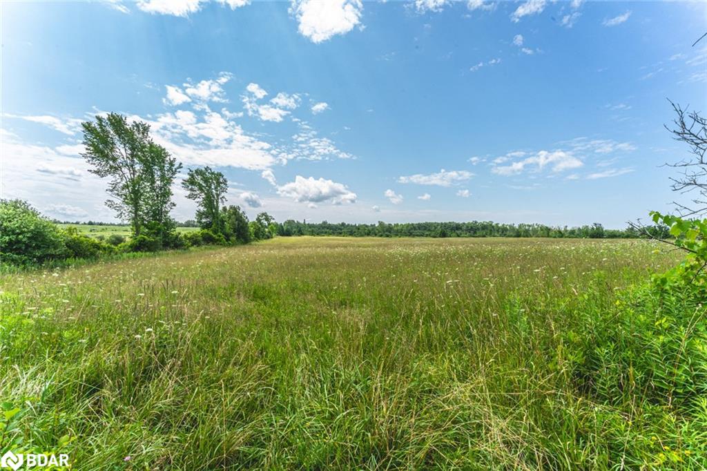 Lot 5 Concession 5 Property Photo 7