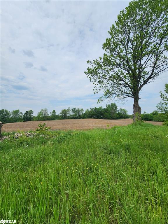 316486 Highway 6 Property Photo
