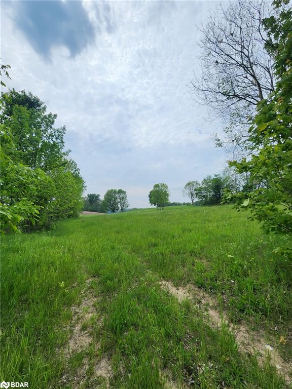 316486 Highway 6 Property Photo 2