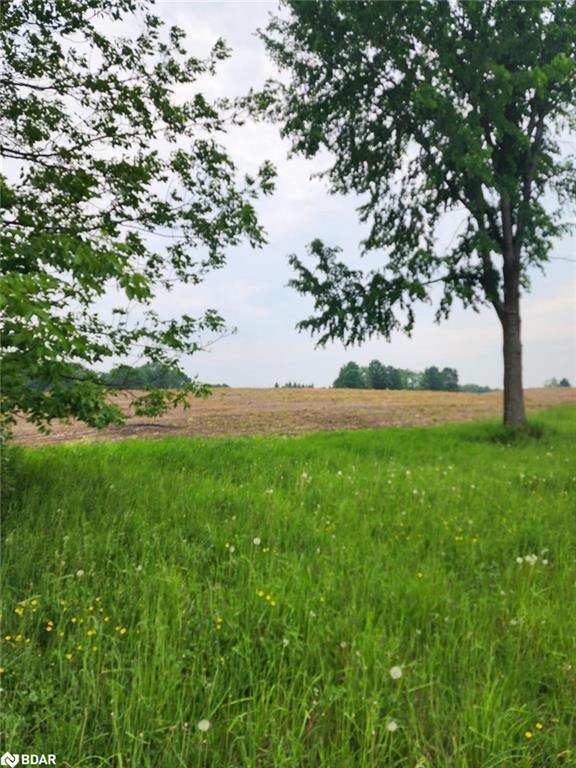 316486 Highway 6 Property Photo 3