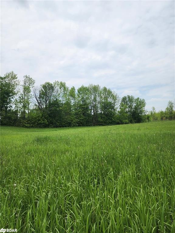 316486 Highway 6 Property Photo 4