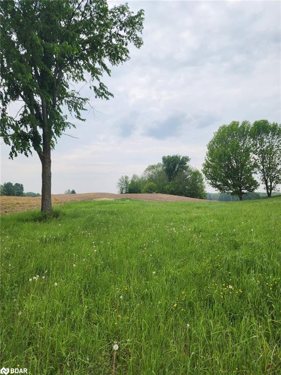 316486 Highway 6 Property Photo 7