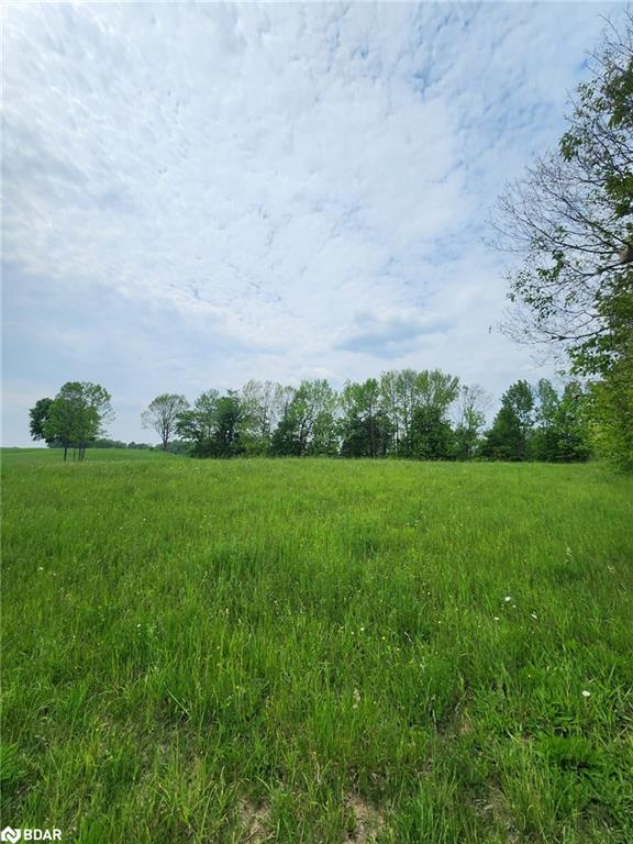 316486 Highway 6 Property Photo 8