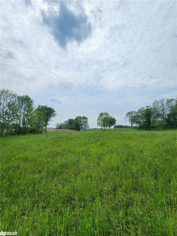 316486 Highway 6 Property Photo 9