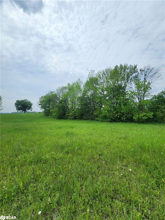 316486 Highway 6 Property Photo 10