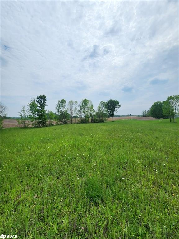 316486 Highway 6 Property Photo 11