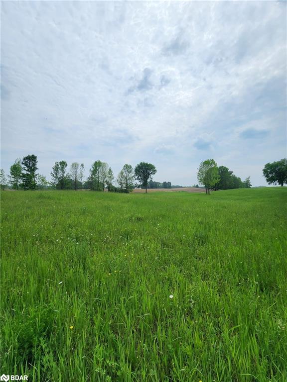 316486 Highway 6 Property Photo 12