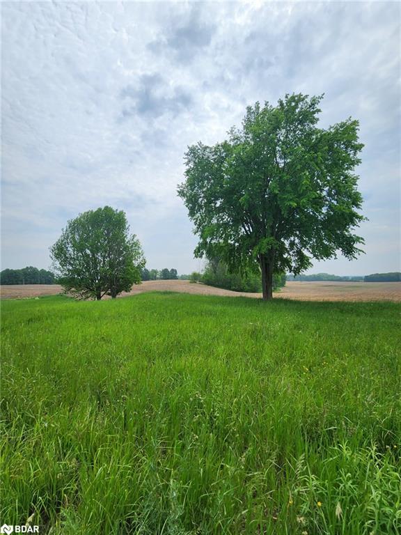 316486 Highway 6 Property Photo 13
