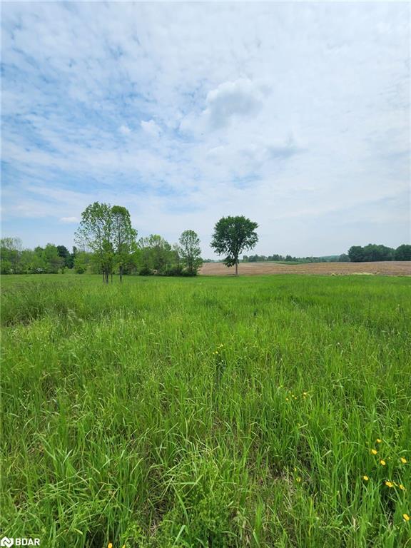 316486 Highway 6 Property Photo 14