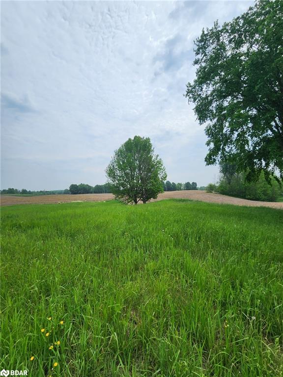 316486 Highway 6 Property Photo 15