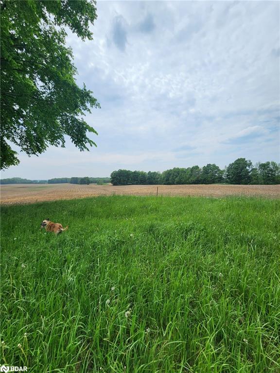 316486 Highway 6 Property Photo 16