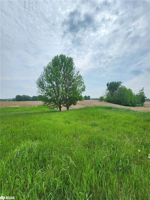 316486 Highway 6 Property Photo 17