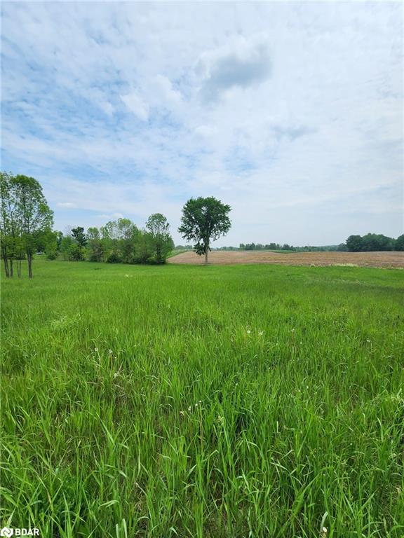 316486 Highway 6 Property Photo 18
