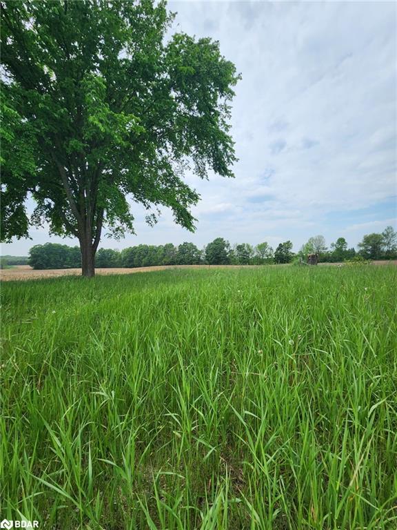 316486 Highway 6 Property Photo 19