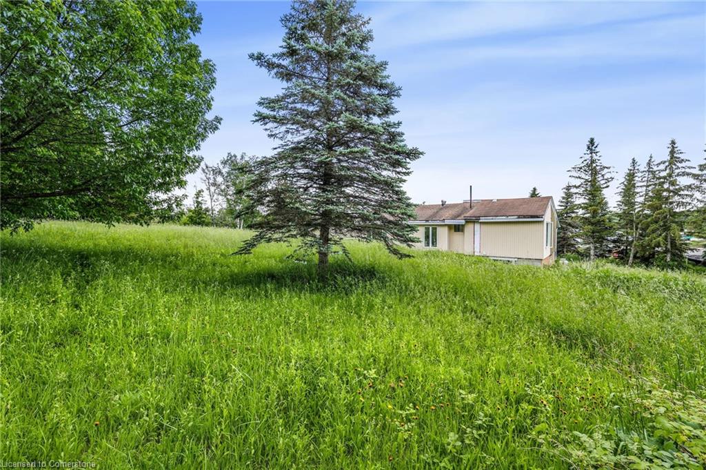 678 Hwy 124 Property Photo 46
