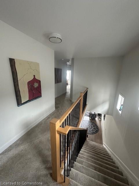 13 Erie Court Property Photo 11