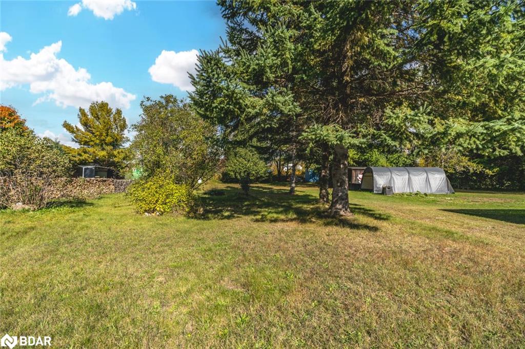 221 Phillips Street Property Photo 5