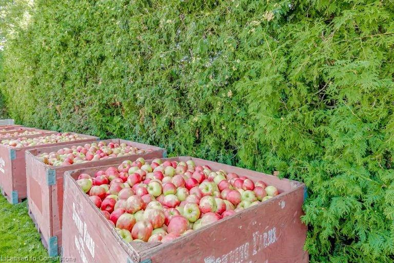 475 Alway Road Property Photo 14