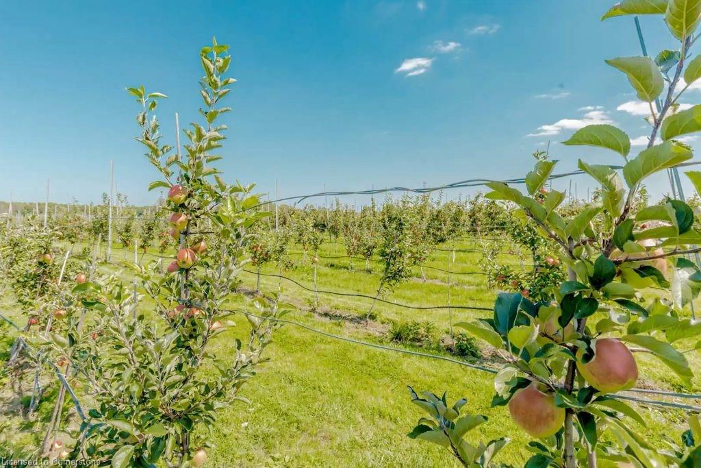 475 Alway Road Property Photo 32