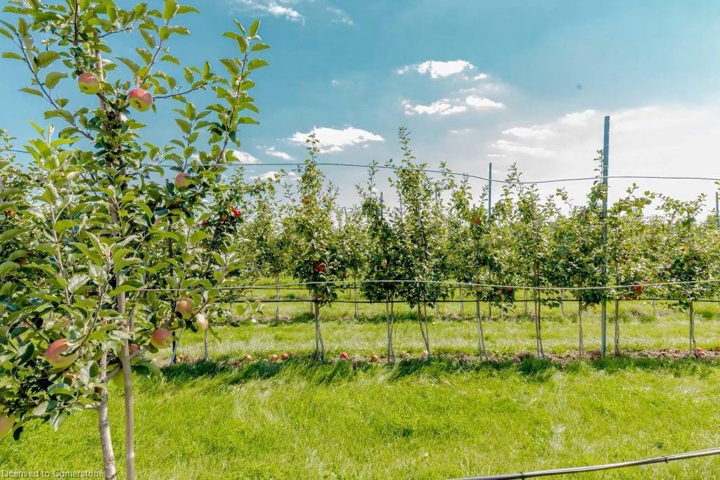 475 Alway Road Property Photo 33