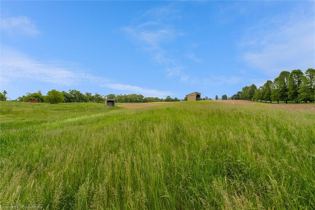 337 Highway 52 N Property Photo 6