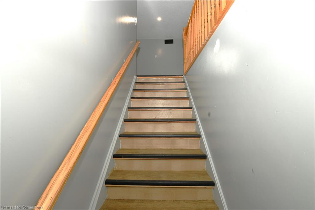 65 Maitland Terrace Property Photo 19
