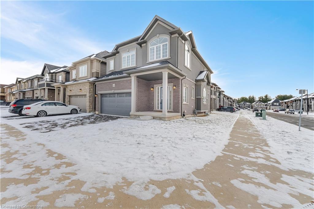 44 Macklin Street Property Photo