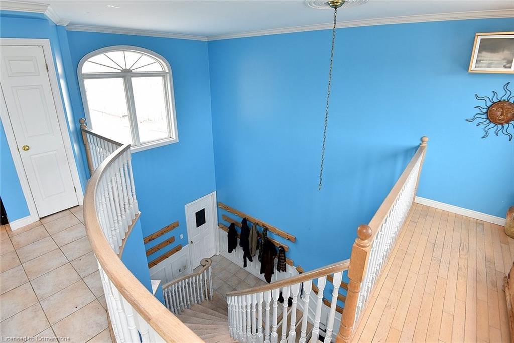 10 Franklin Street Property Photo 24