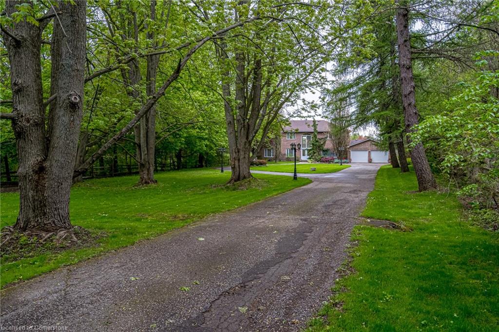 57 Kennedy Road Property Photo 6