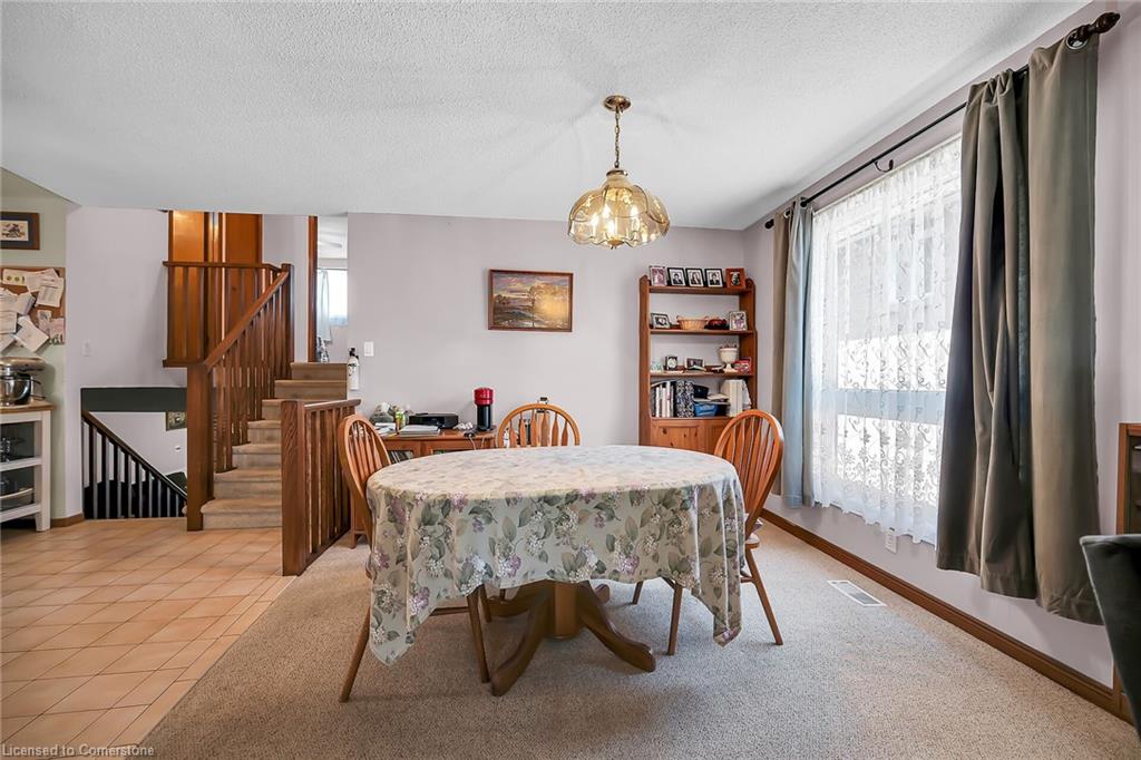 43 Everest Street Property Photo 10