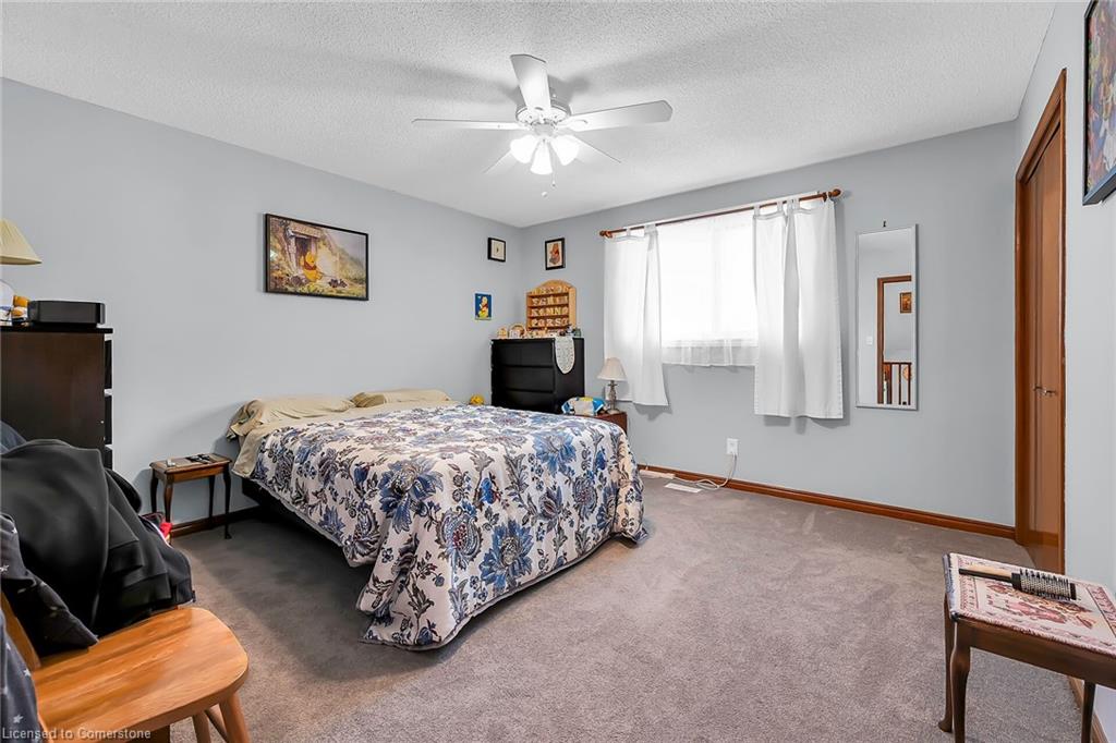 43 Everest Street Property Photo 18