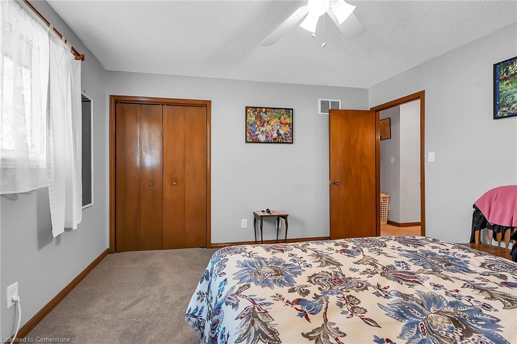 43 Everest Street Property Photo 19
