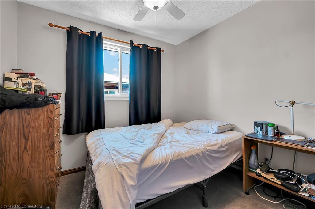 43 Everest Street Property Photo 21