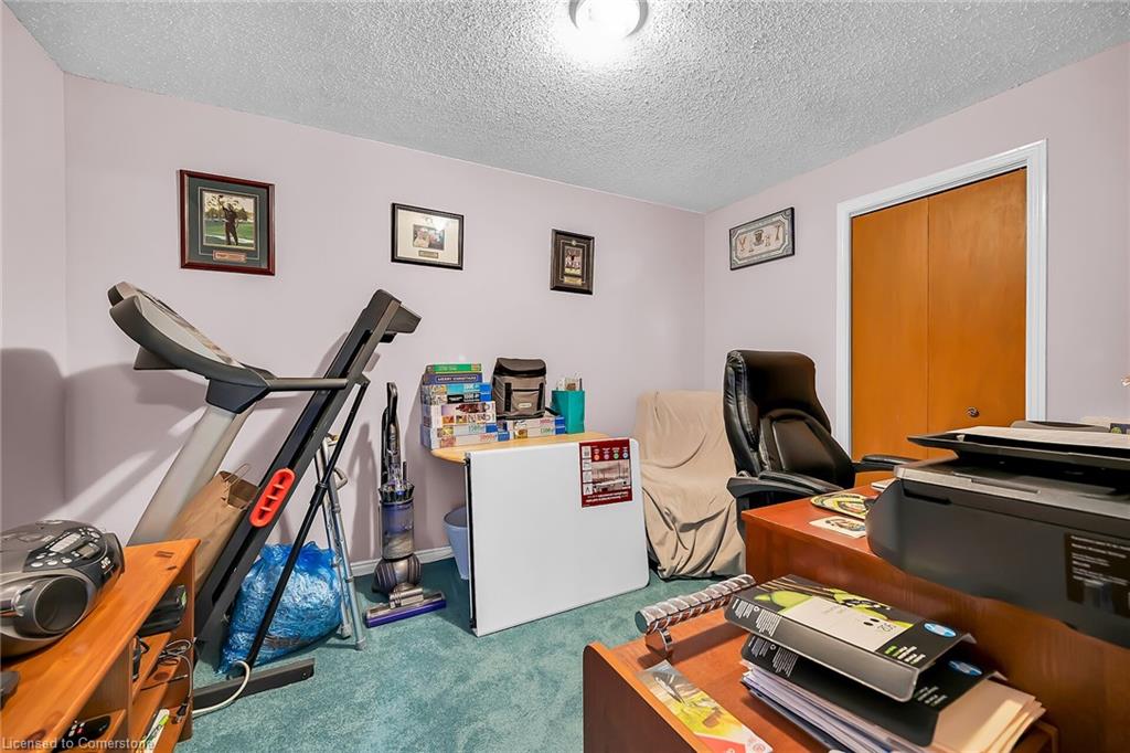 43 Everest Street Property Photo 29
