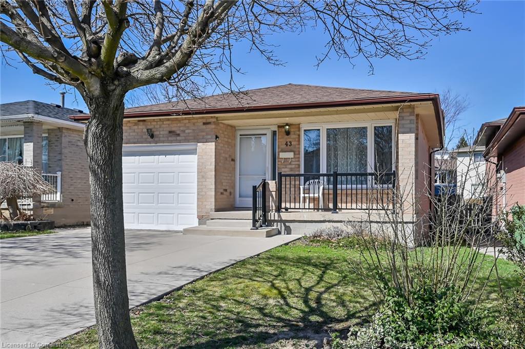43 Everest Street Property Photo 43