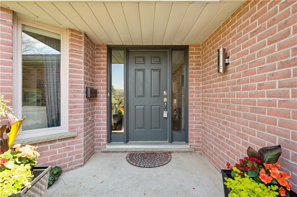 15 Trelawney Street Property Photo 4