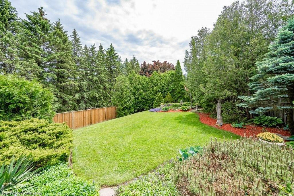 15 Trelawney Street Property Photo 43