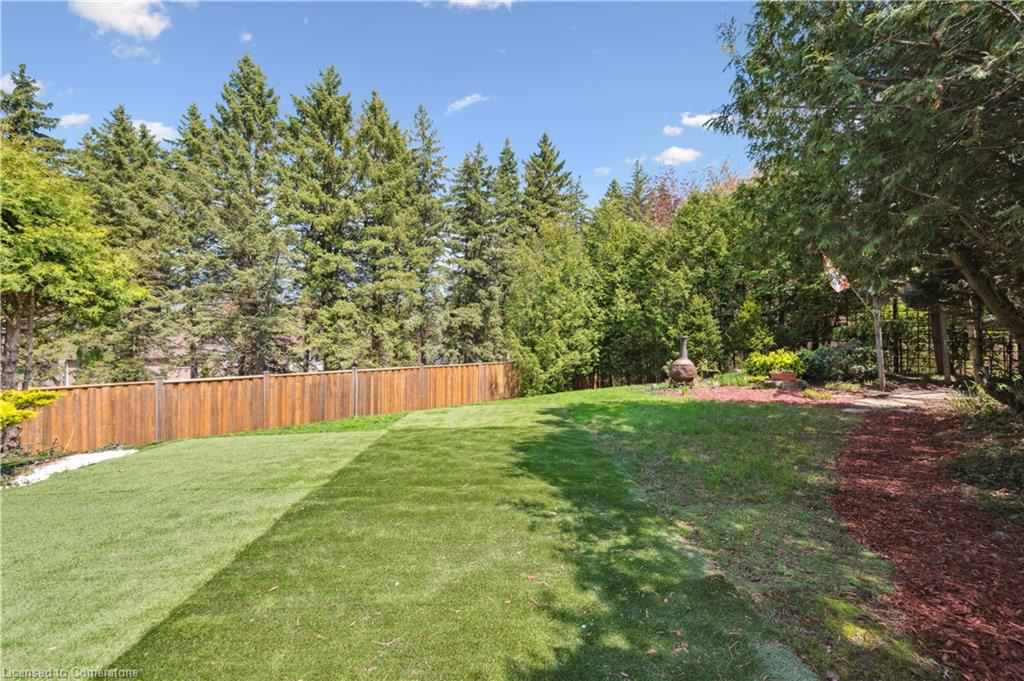 15 Trelawney Street Property Photo 44