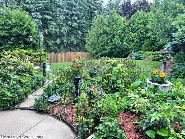 15 Trelawney Street Property Photo 48