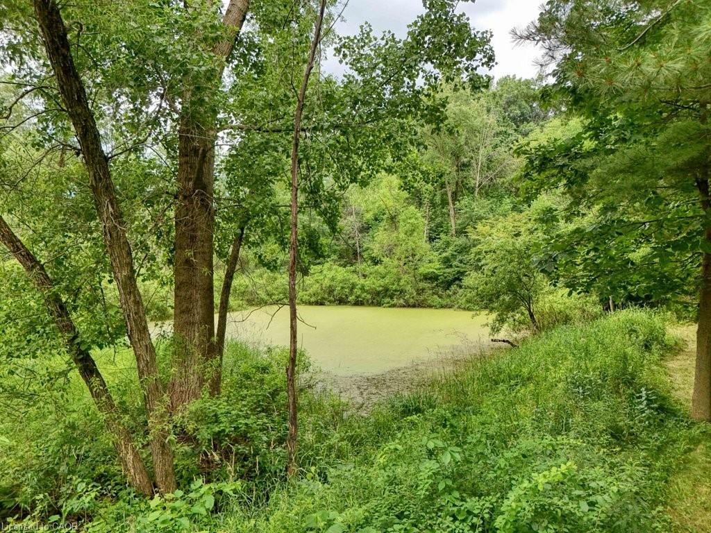 5 Columbo Court Property Photo 39