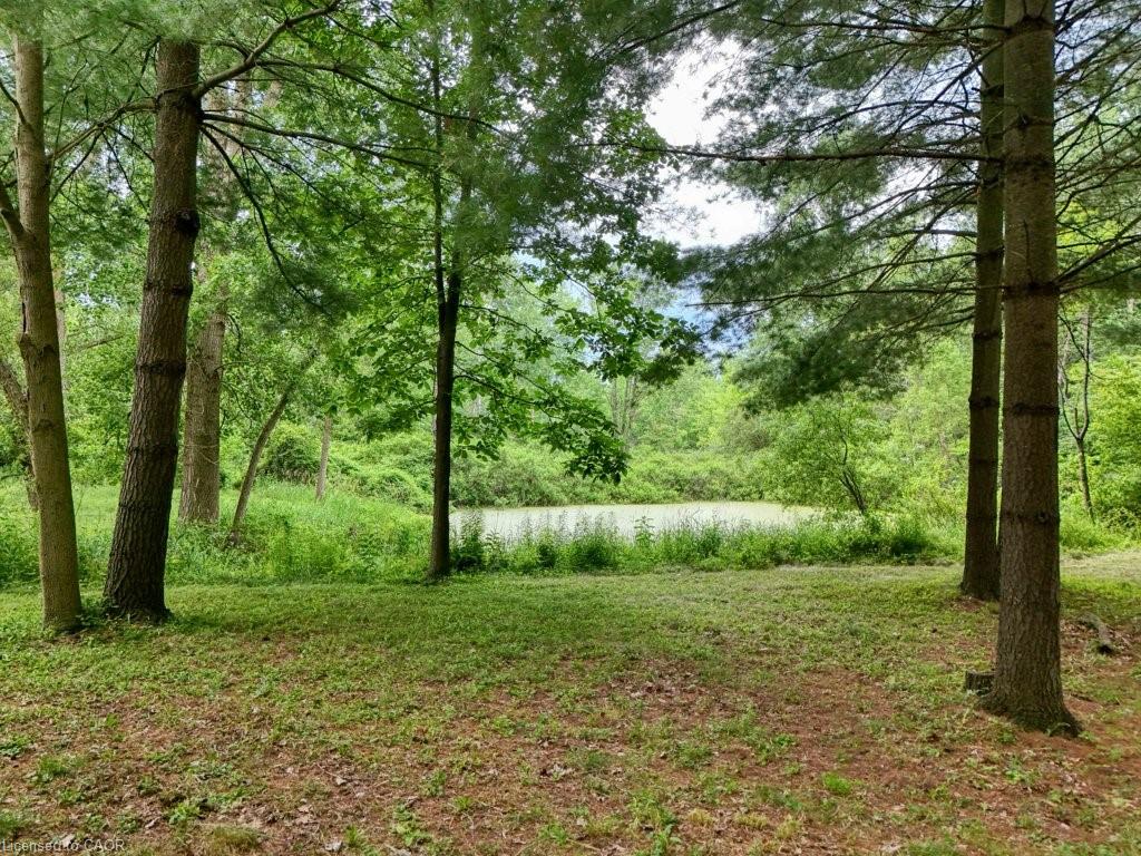 5 Columbo Court Property Photo 45